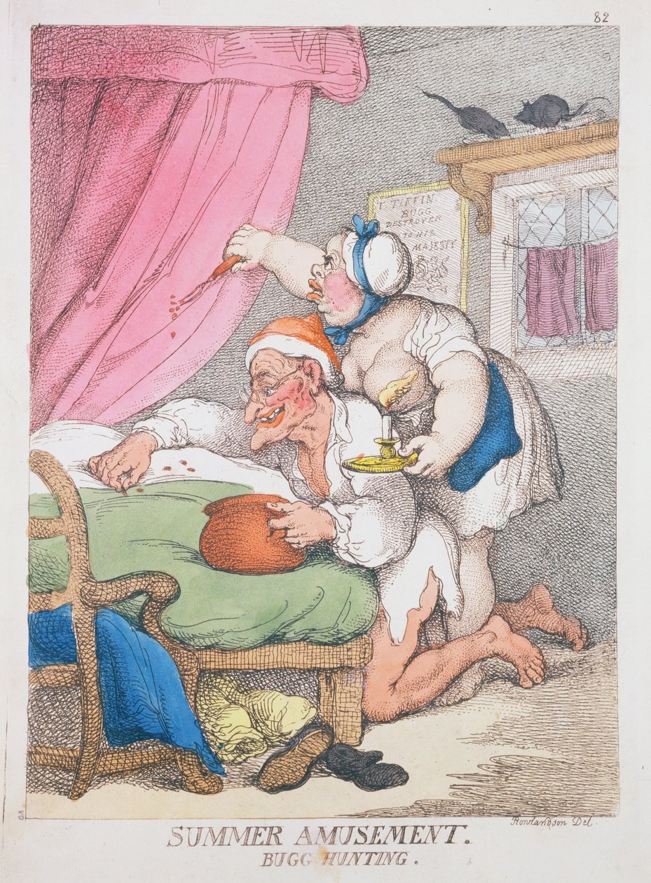 Zomervermaak. Insectenjacht door Thomas Rowlandson