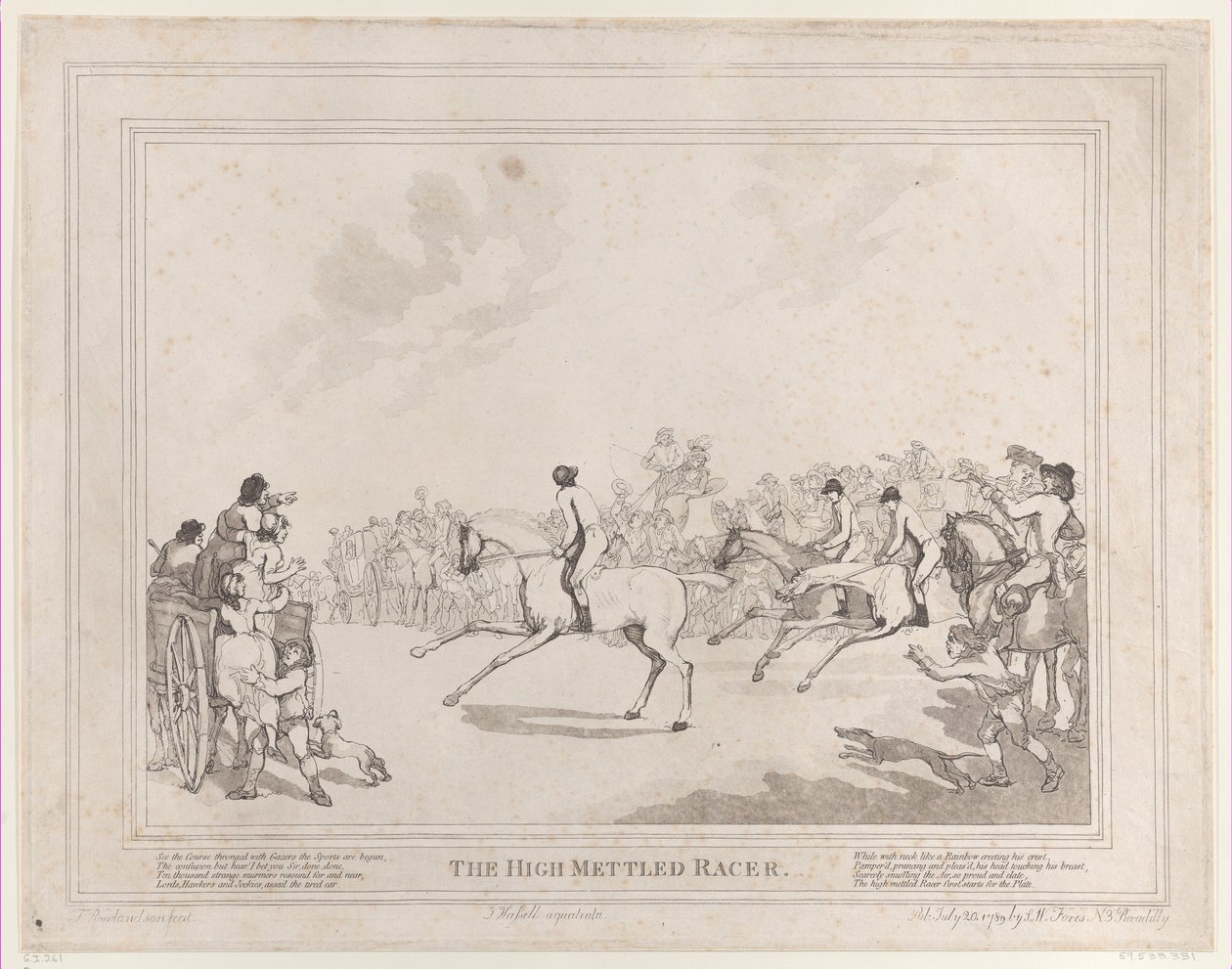 Het renpaard uit Het leven van een renpaard, of De hoogmoedige racer door Thomas Rowlandson