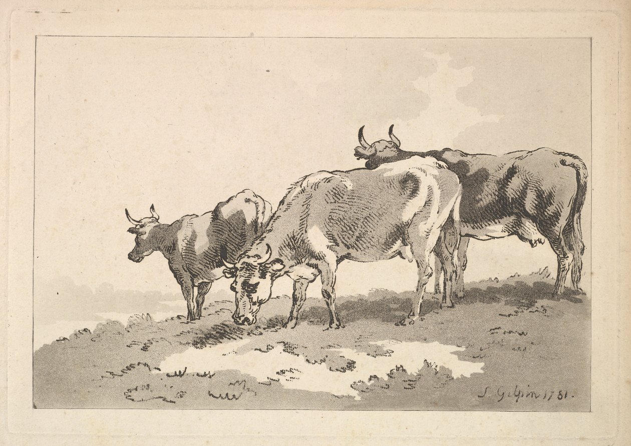 Drie koeien op de rand van een veld, 1784-87 door Thomas Rowlandson