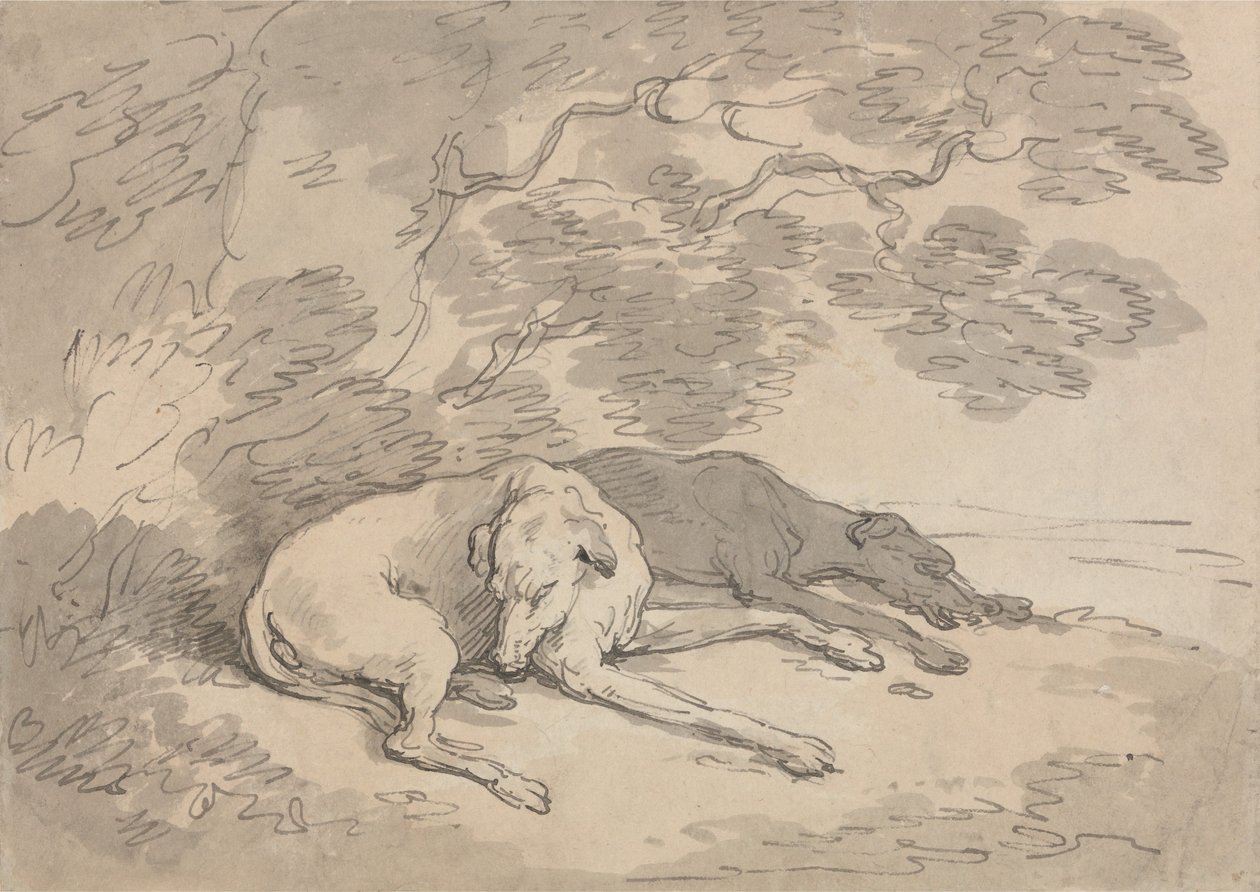 Twee windhonden die onder een boom liggen door Thomas Rowlandson