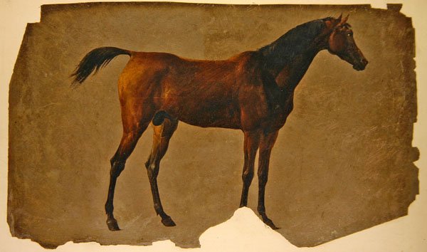 Een Arabisch Paard door Thomas Sidney Cooper