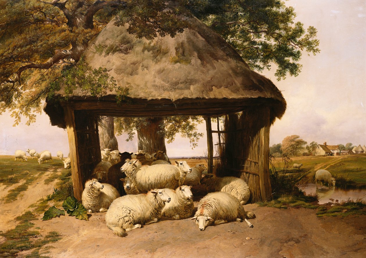 Schapen rustend onder een schuilplaats door Thomas Sidney Cooper