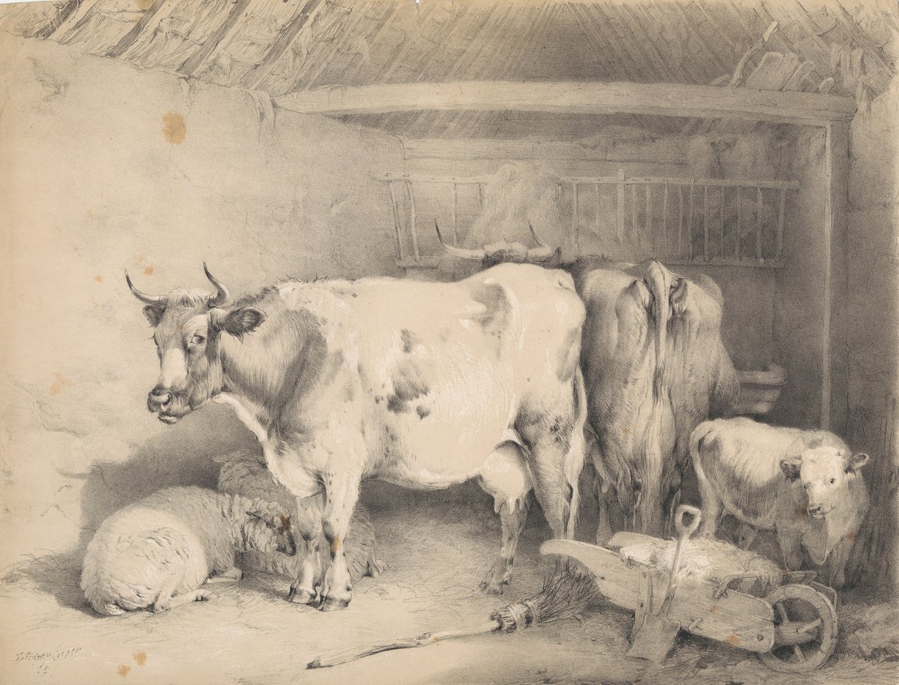 Schapen en runderen in een schuur door Thomas Sidney Cooper