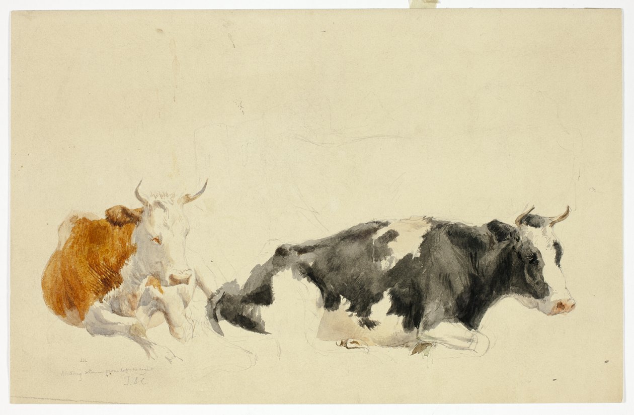 Twee liggende koeien (recto); schets van staande koe (verso) door Thomas Sidney Cooper