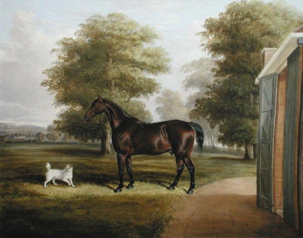 Een Bruin Paard met een Terrier door Thomas W. Bretland