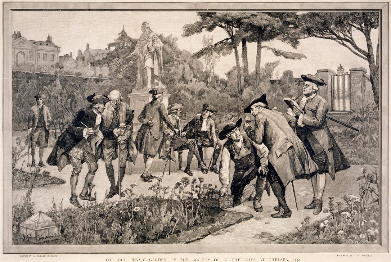 De oude fysische tuin van de Society of Apothecaries in Chelsea, 1750, 1890 door Thomas W Lascelles