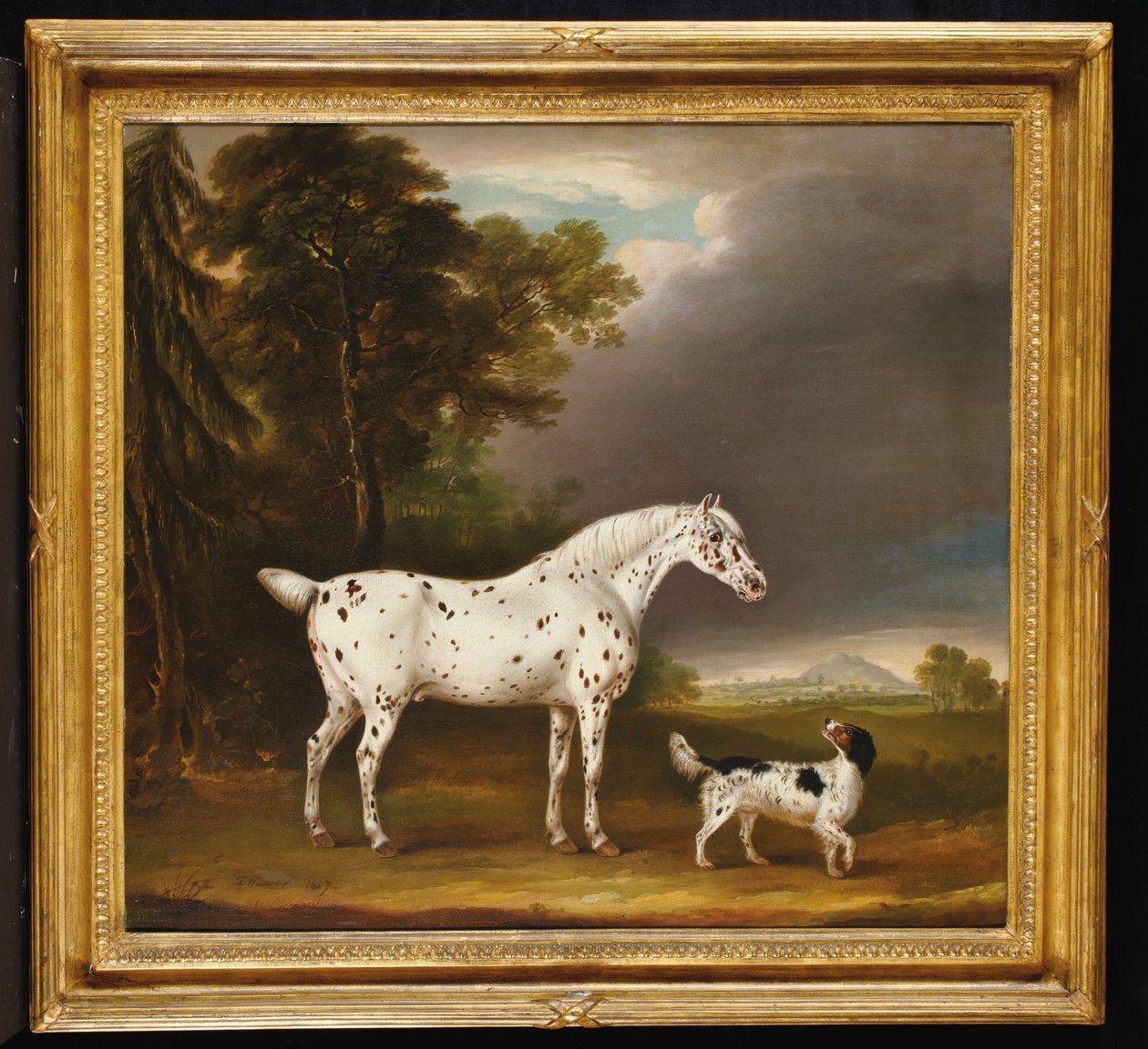 Appaloosa Paard en spaniël, 1807 door Thomas Weaver