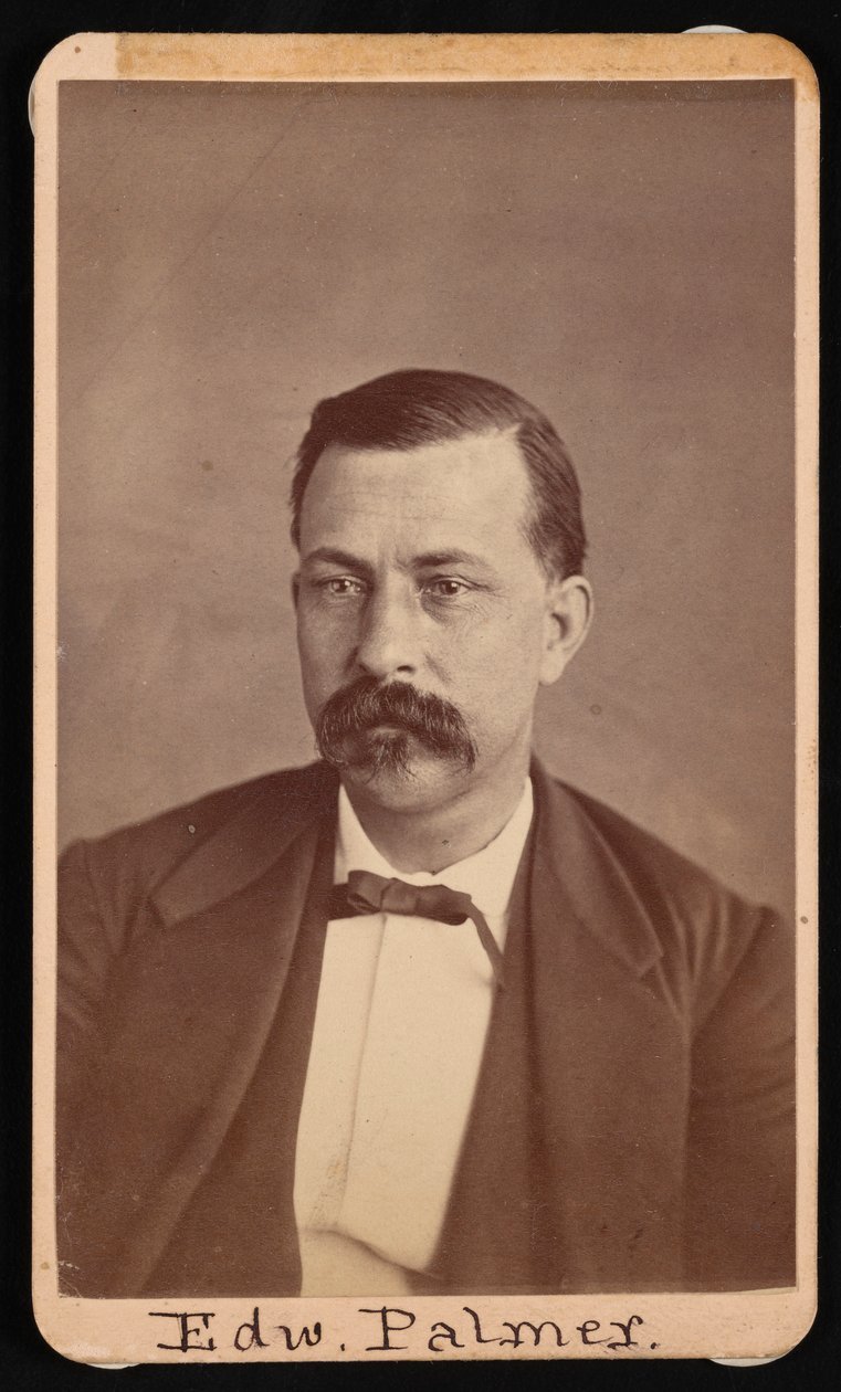 Portret van Edward Palmer 1829-1911, voor 1900 door Thomas William Smillie
