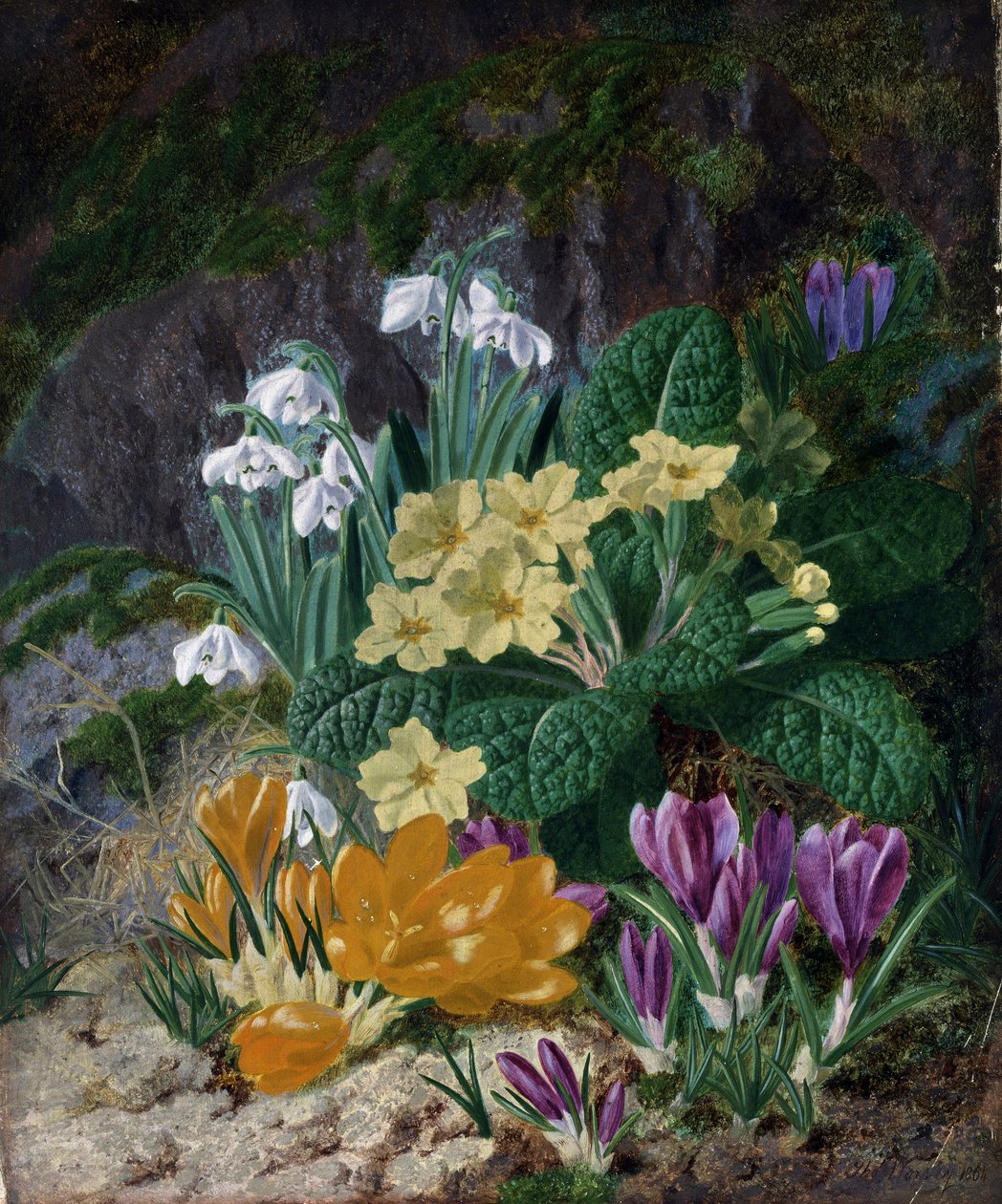 Lentebloemen (waaronder krokussen en primula