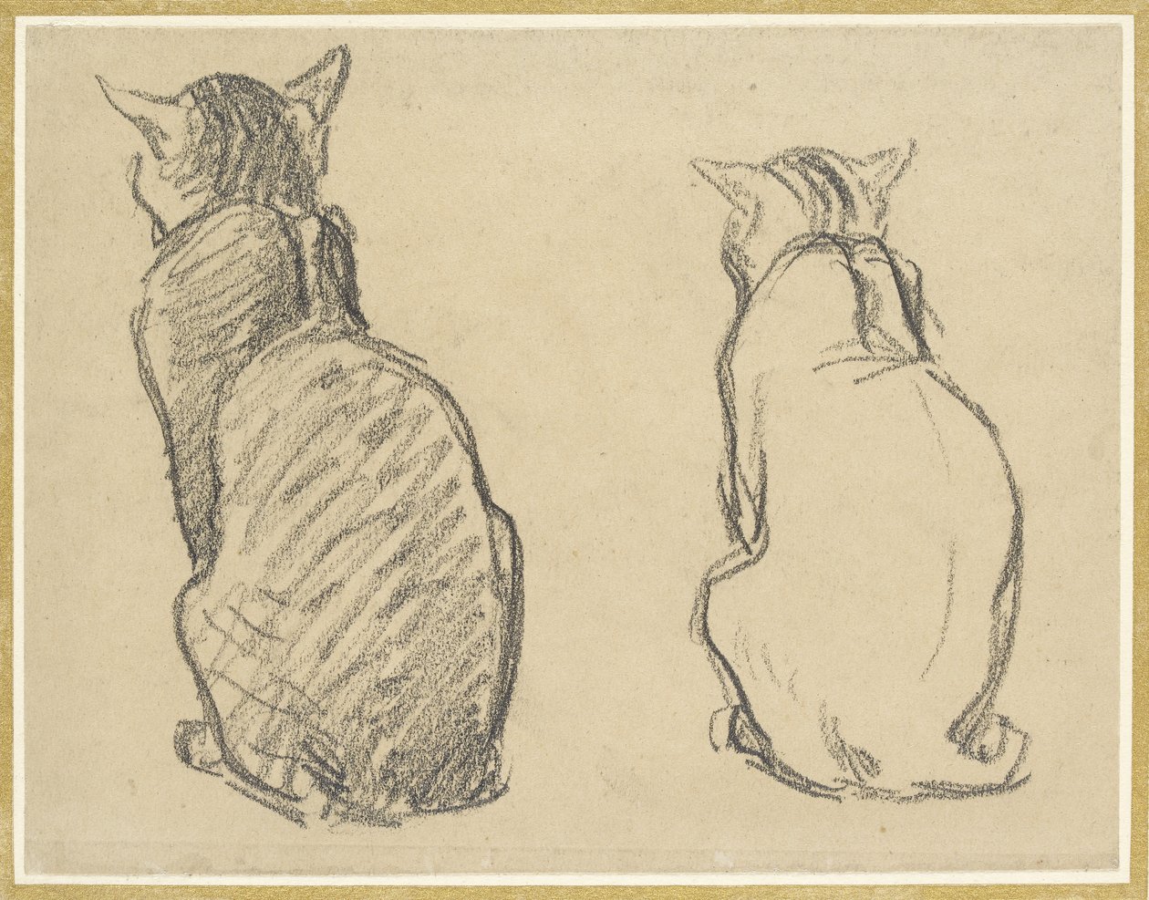 Twee Studies van een Kat door Théophile Alexandre Steinlen