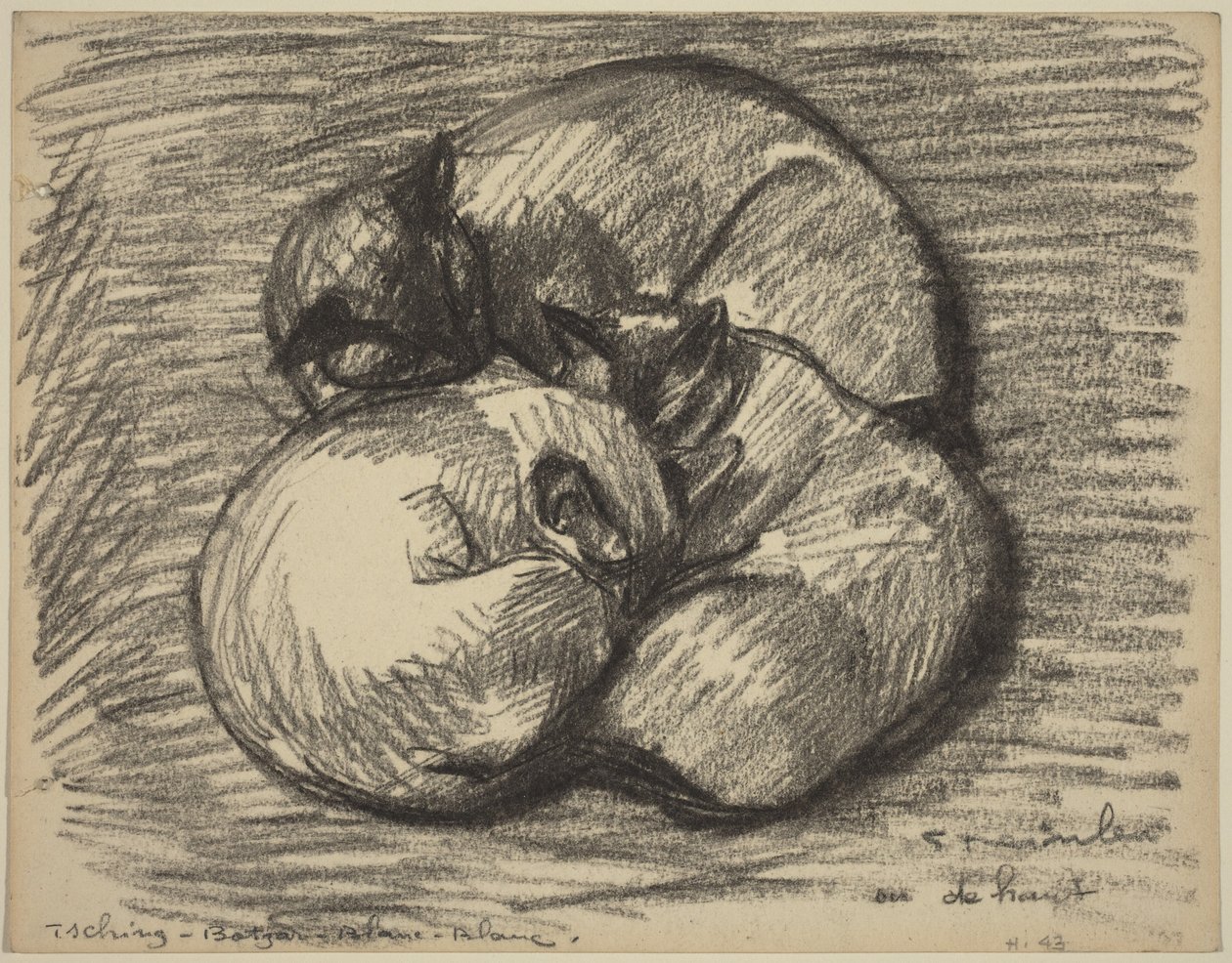 De katten: Tsching, Batzar en Blanc-Blanc, eind 19e-begin 20e eeuw door Théophile Alexandre Steinlen