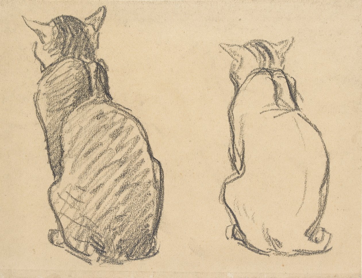 Twee studies van een kat, begin 20e eeuw door Théophile Alexandre Steinlen
