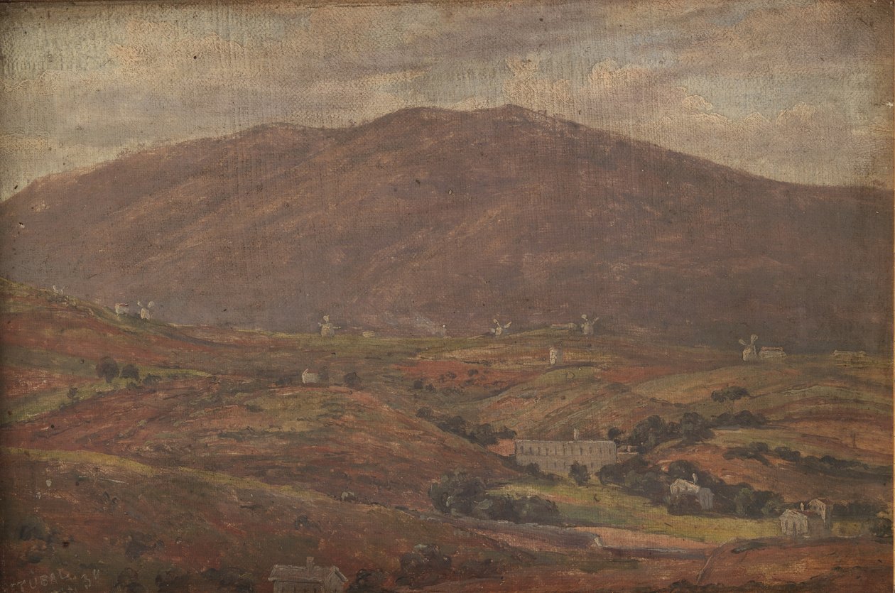 Landschap bij Setúbal, Portugal door Thorald Brendstrup