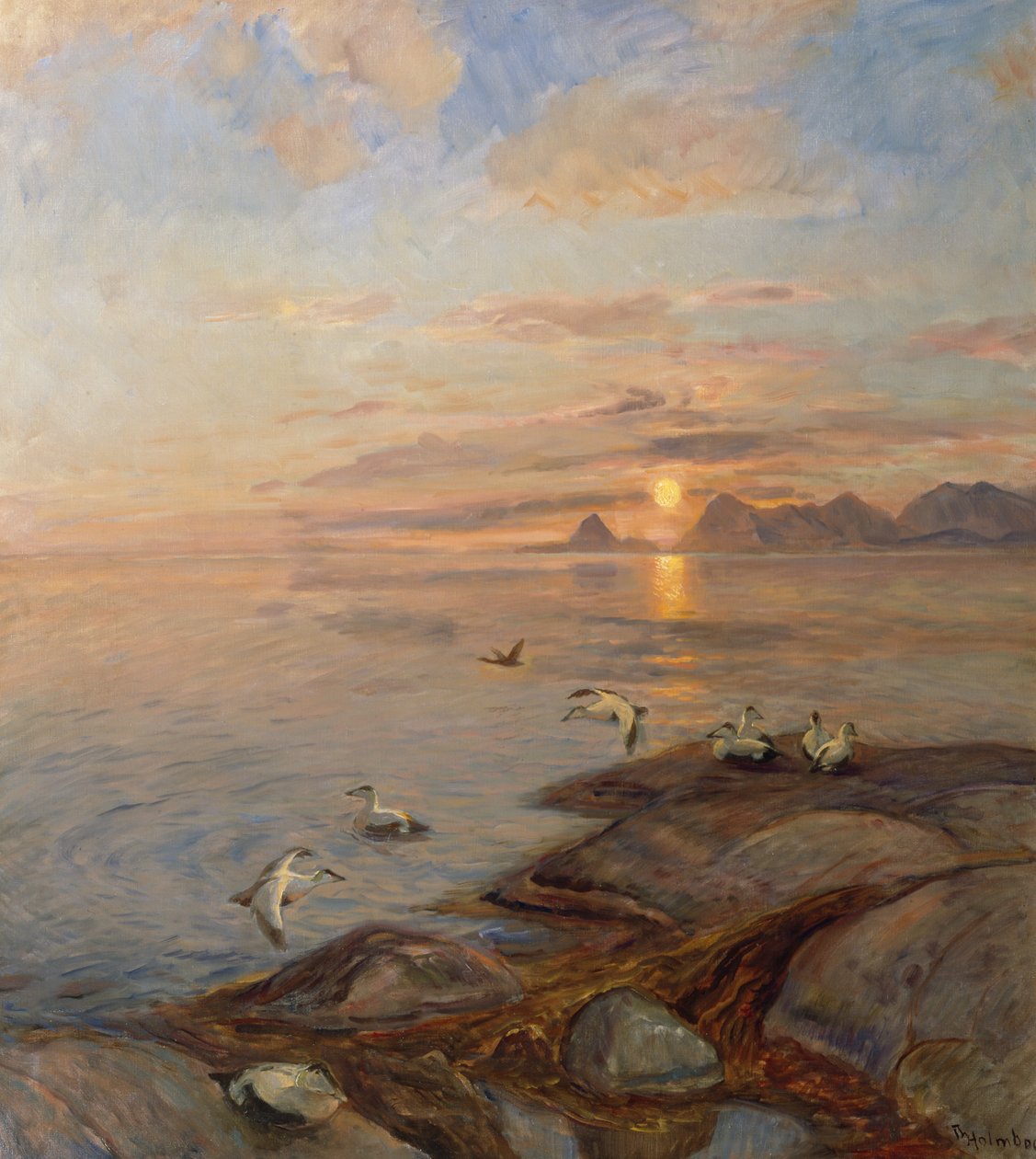 Zeevogels in middernachtzon door Thorolf Holmboe
