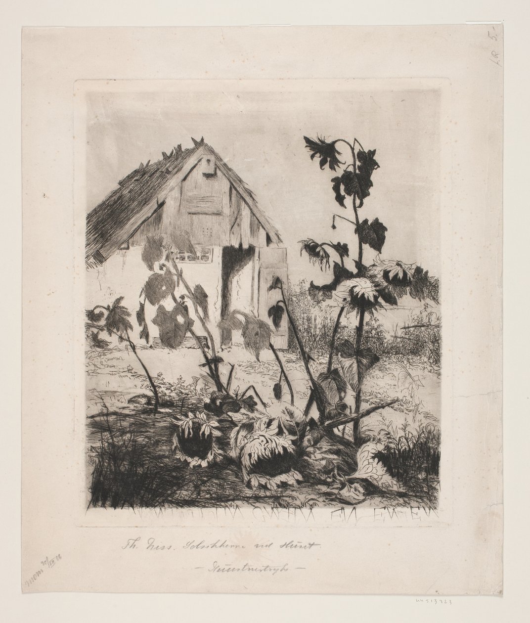 De zonnebloemen bij het huis door Thorvald Niss