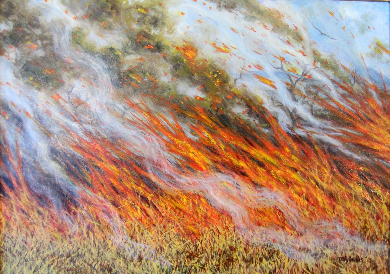 Bosbrand Inferno, 2014 door Tilly Willis