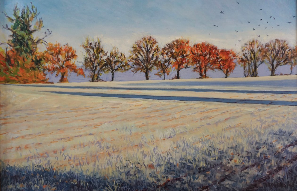 Vorst op het Veld, 2024 door Tilly Willis