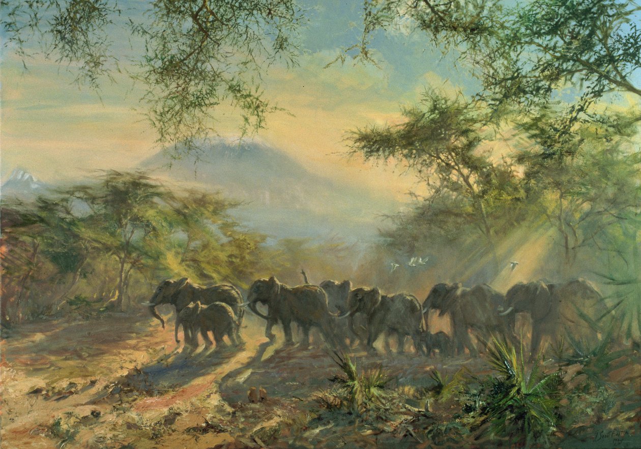 Olifant, Kilimanjaro, 1995 door Tim Scott Bolton