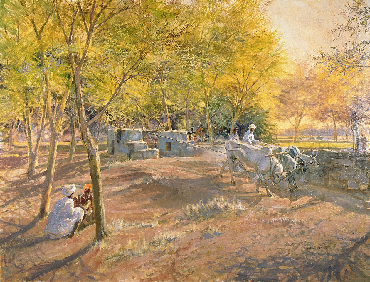 Werken voor water, Rajasthan, 1997 door Tim Scott Bolton