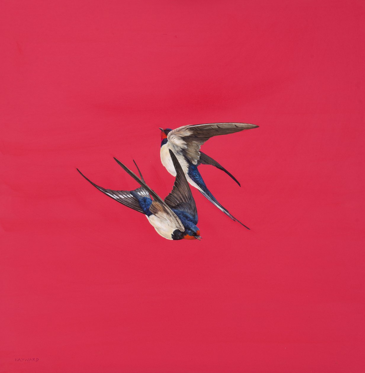 Draai-Rood door Tim Hayward