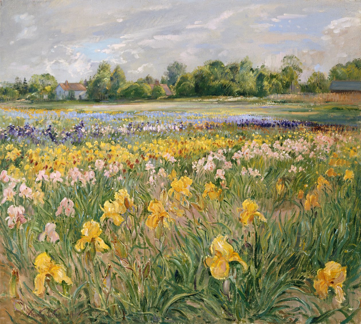 Huisjes en irisveld door Timothy Easton
