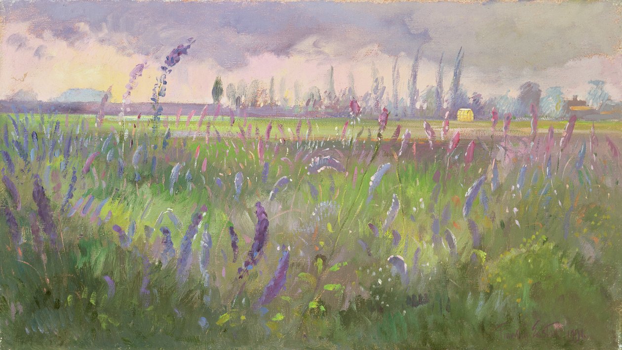 Ridderspoor, storm voorbijgaand, 1991 door Timothy Easton