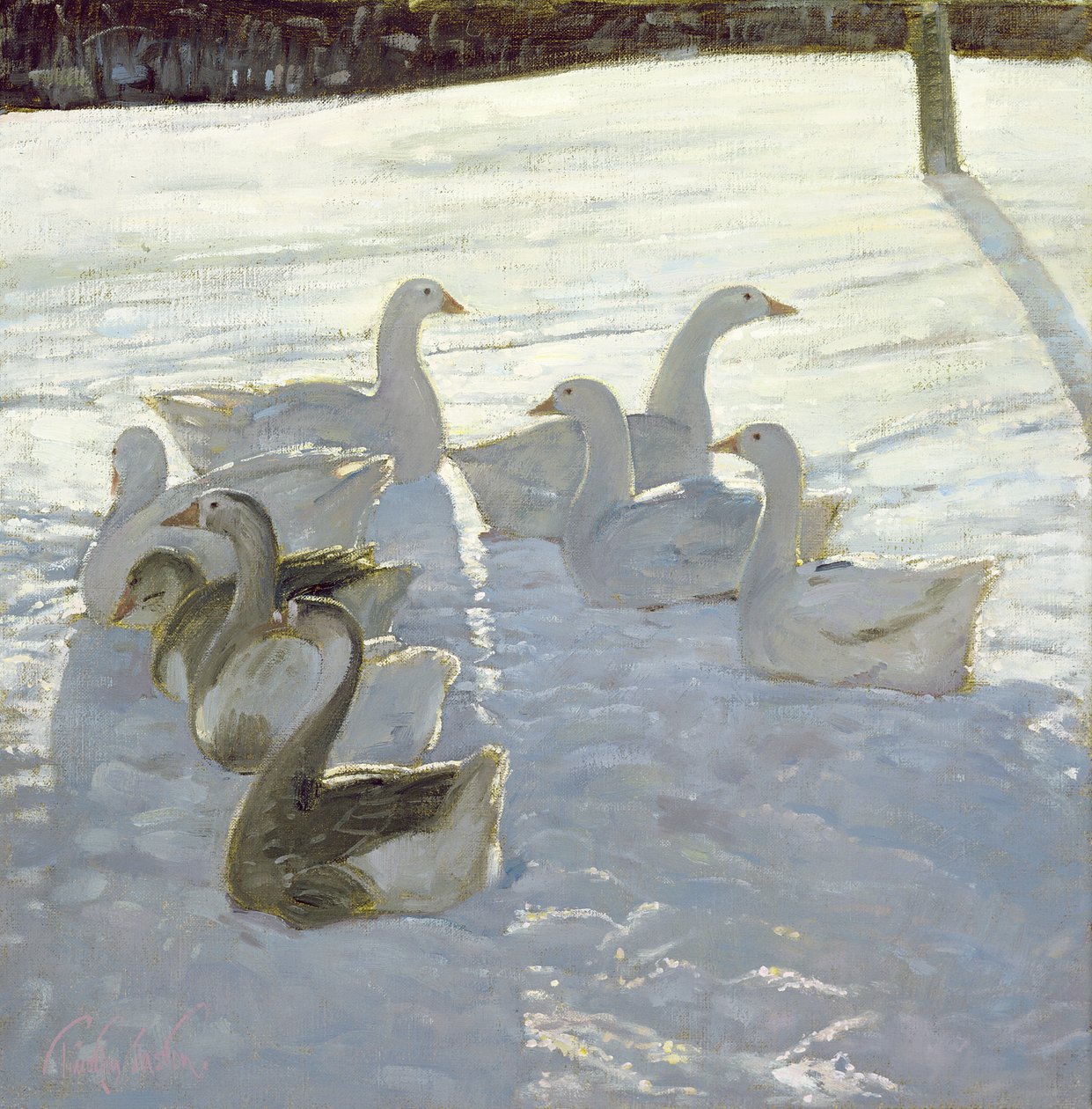 Ganzen Tegen het Licht door Timothy Easton