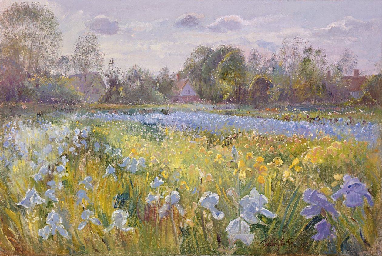 Irisveld in het avondlicht door Timothy Easton