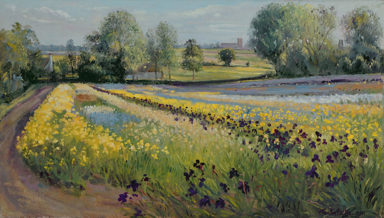 Irishelling, 1991 door Timothy Easton