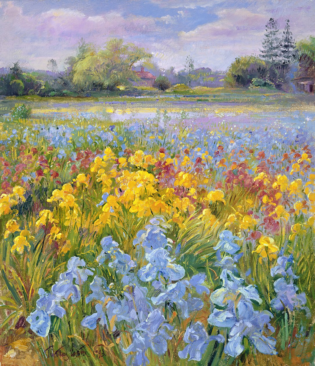 Irissen, Wilg en Den, 1993 door Timothy Easton