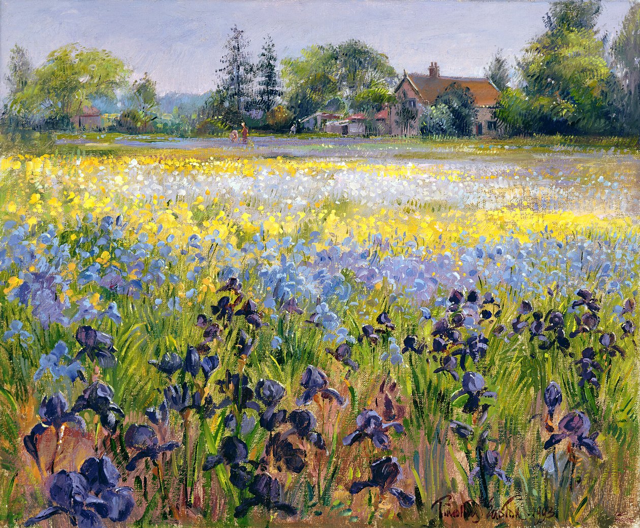 Iris en Twee Dennenbomen, 1993 door Timothy Easton