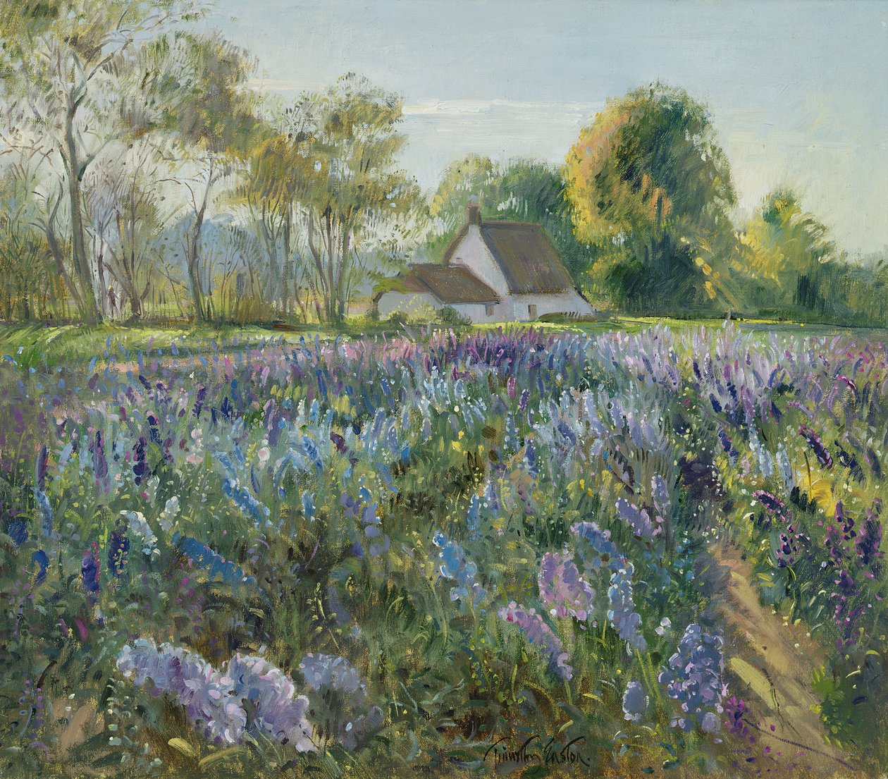 Oktober delfiniums door Timothy Easton