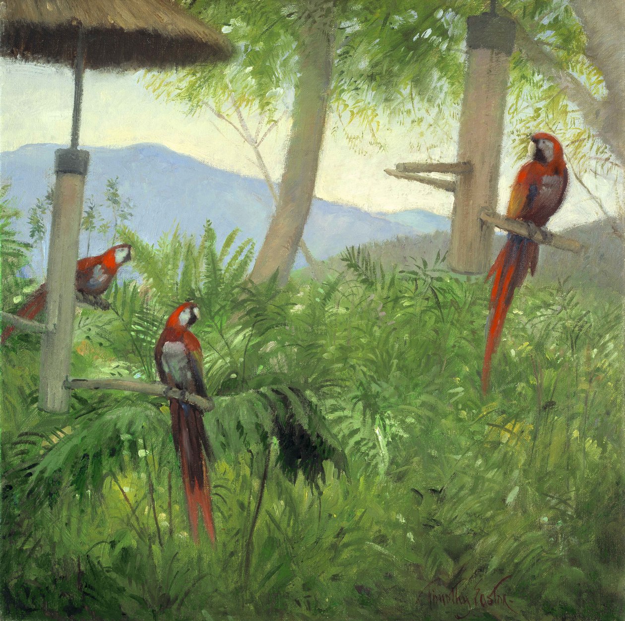 Bergvogels, 2001 (olieverf op doek) door Timothy Easton