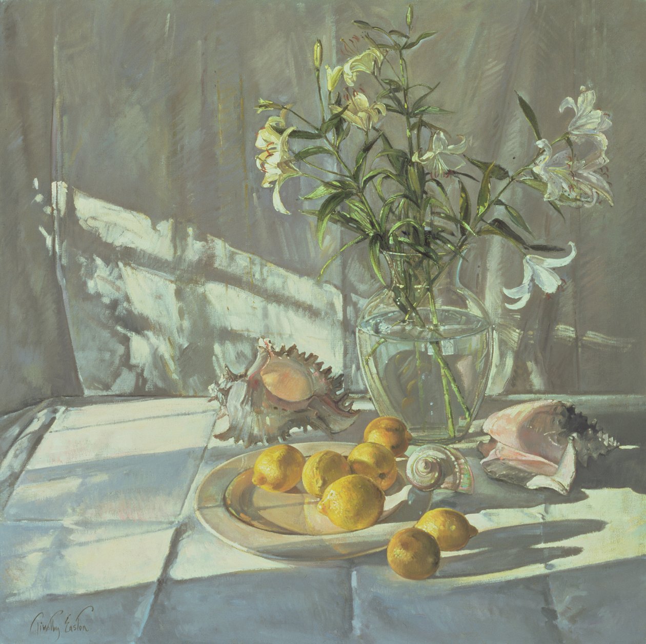 Reflecties en Schaduwen door Timothy Easton