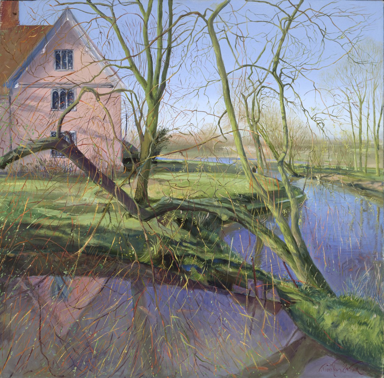 Ontluikende wilg door Timothy Easton