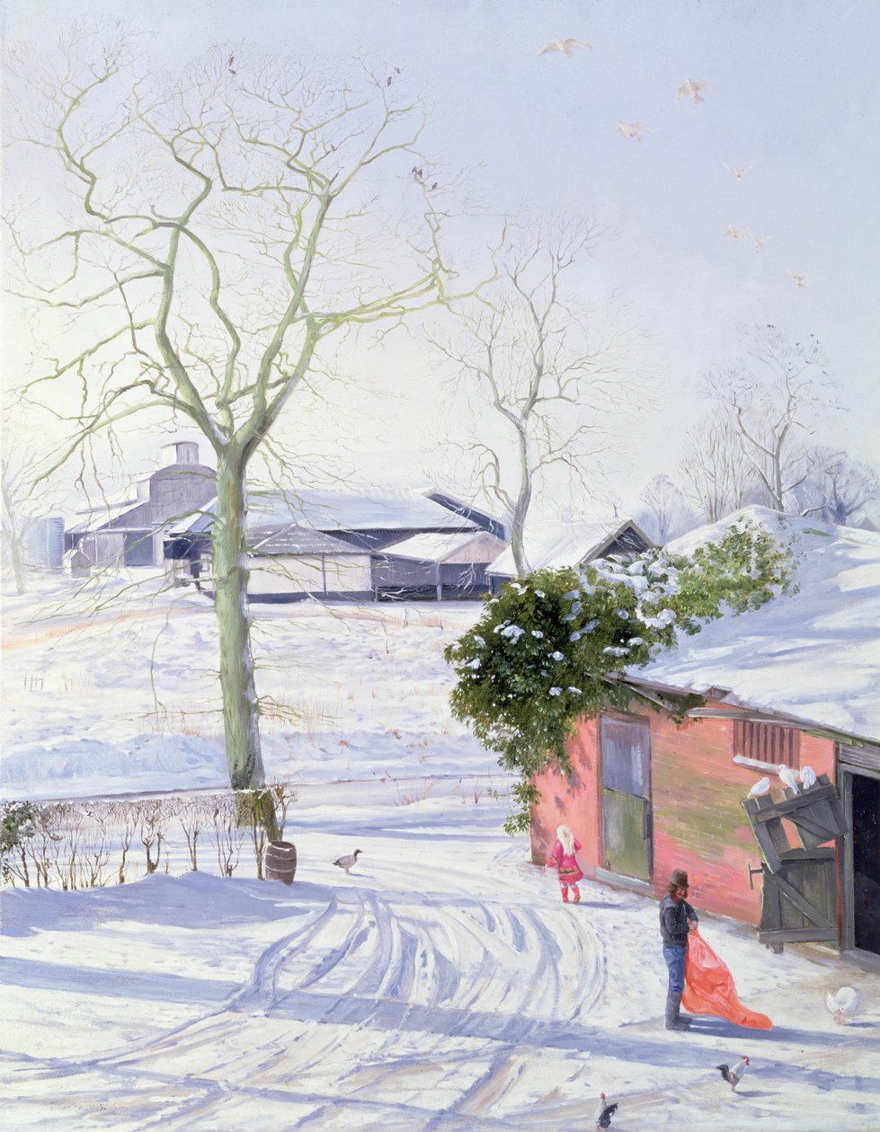 Winter Schuren door Timothy Easton
