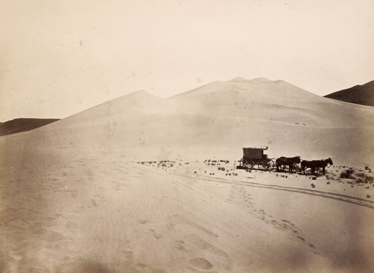 Zandduinen, Carsonwoestijn, Nevada door Timothy H. O