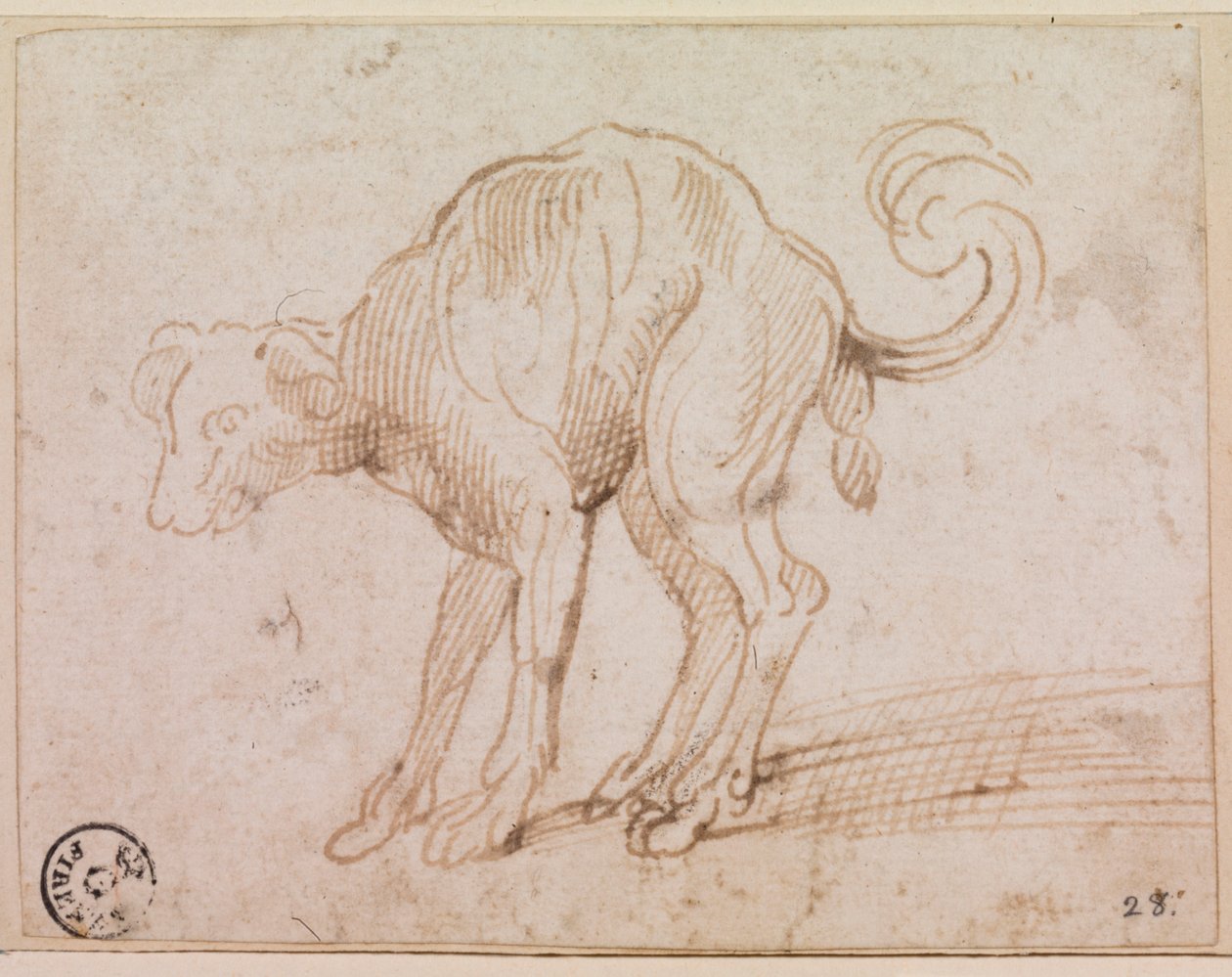Detail van een hond die de Rode Zee oversteekt door Titian (c.1488 1576)
