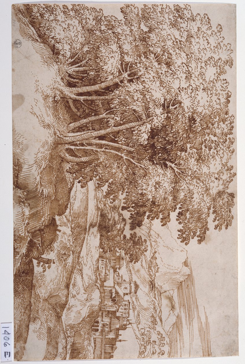 Landschap met bomen links en een stad op de achtergrond door Titian (c.1488-1576)