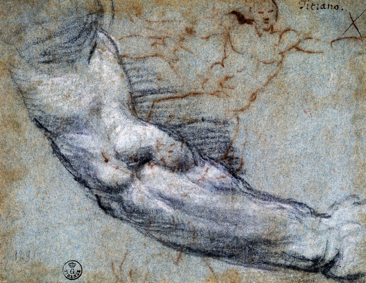 Studie van arm, door Titiaan (ca. 1488-1576), tekening door Titian (c.1488 1576)