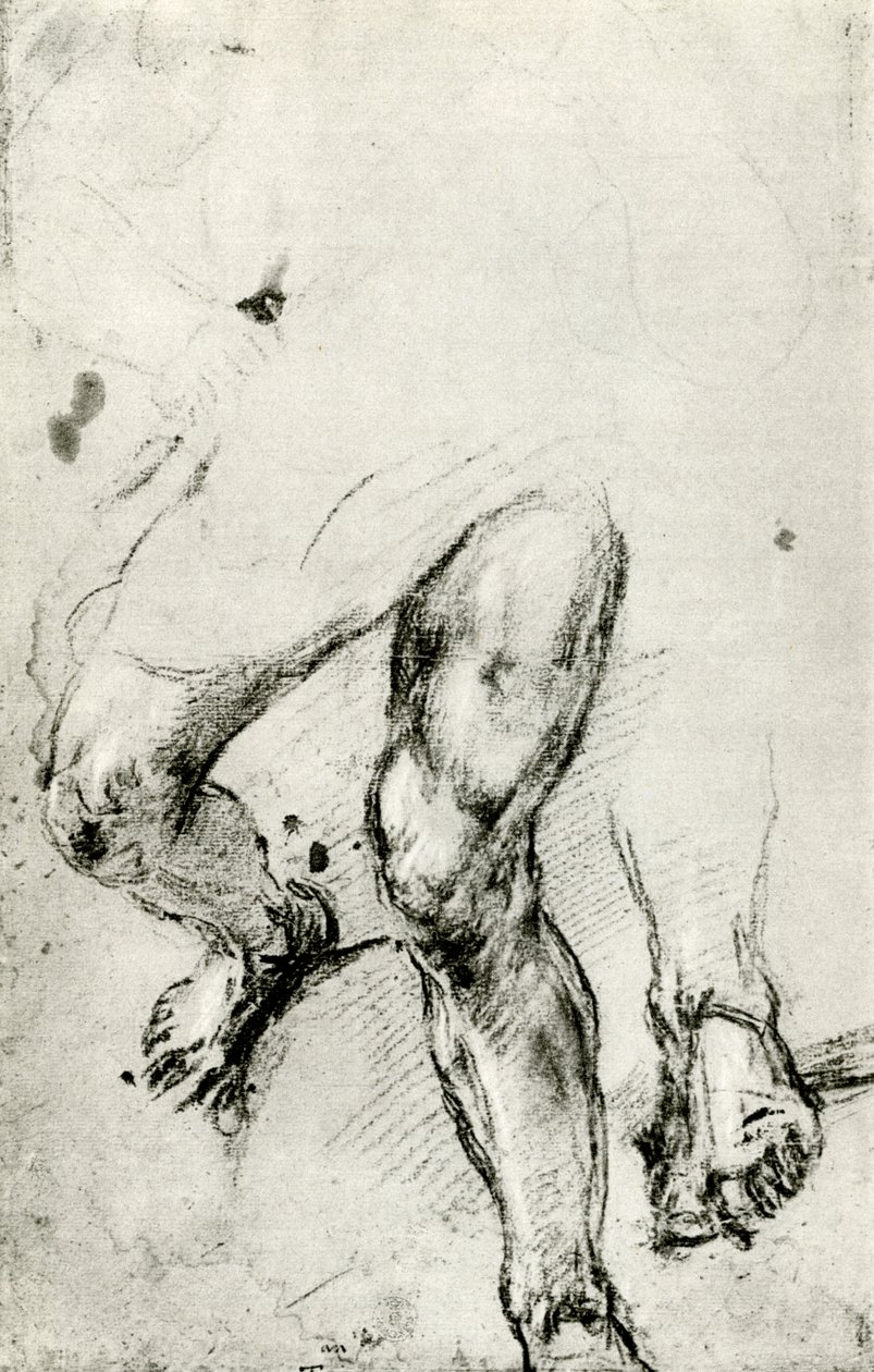 Studie voor de martelaarschap van St. Lawrence in Venetië door Tiziano Vecelli