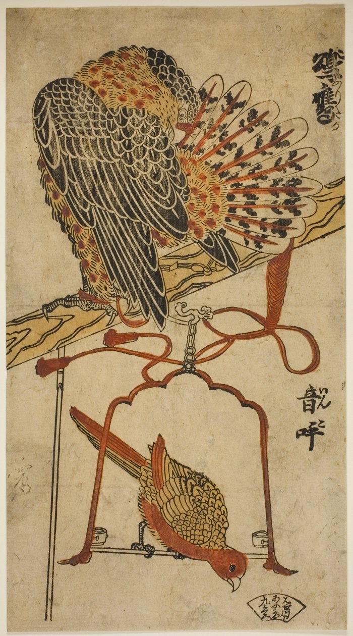 Sperwer en Ara (Konori taka, inko) door Torii Kiyomasu I