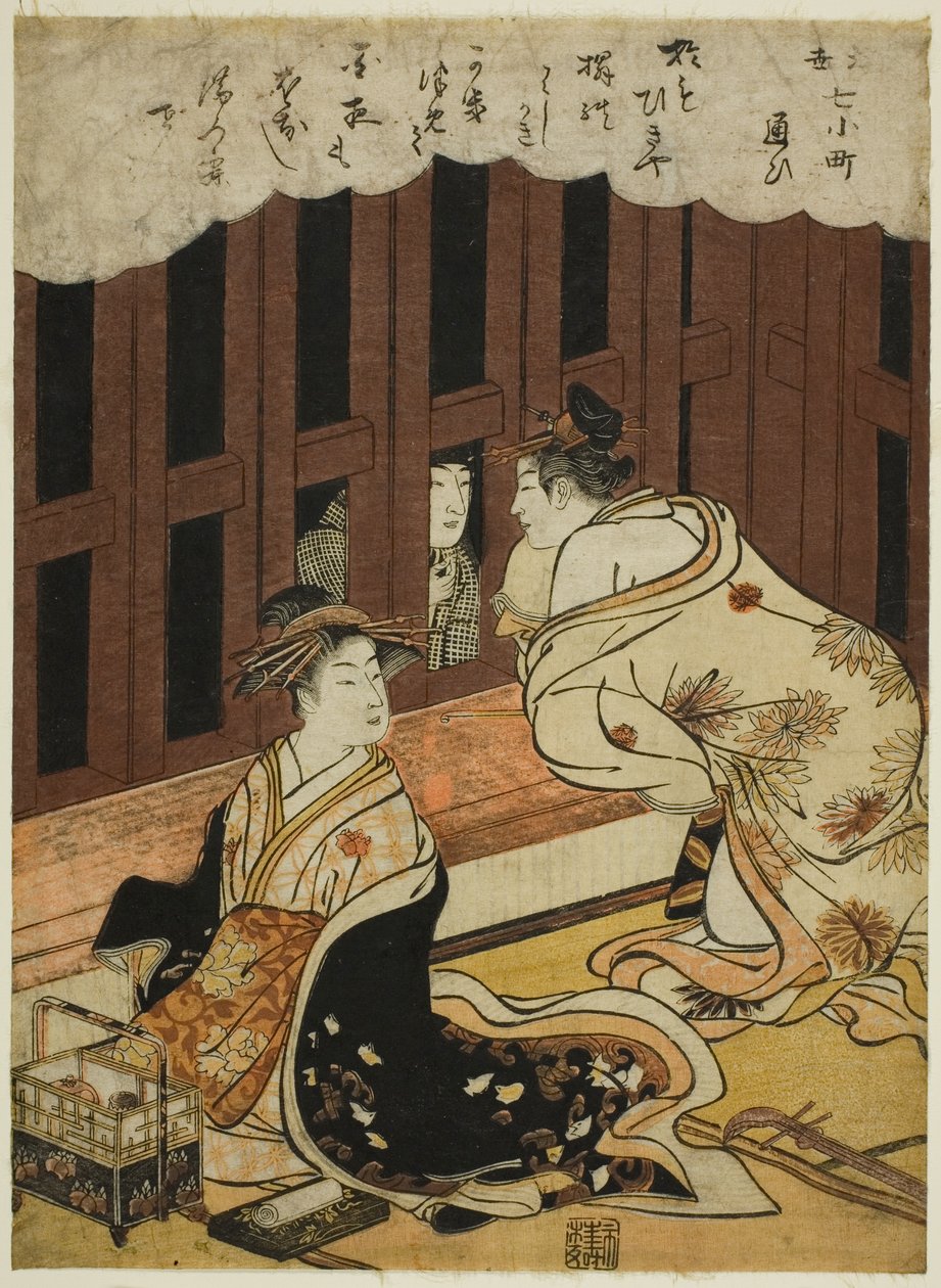 Bezoek (Kayoi), uit de serie 