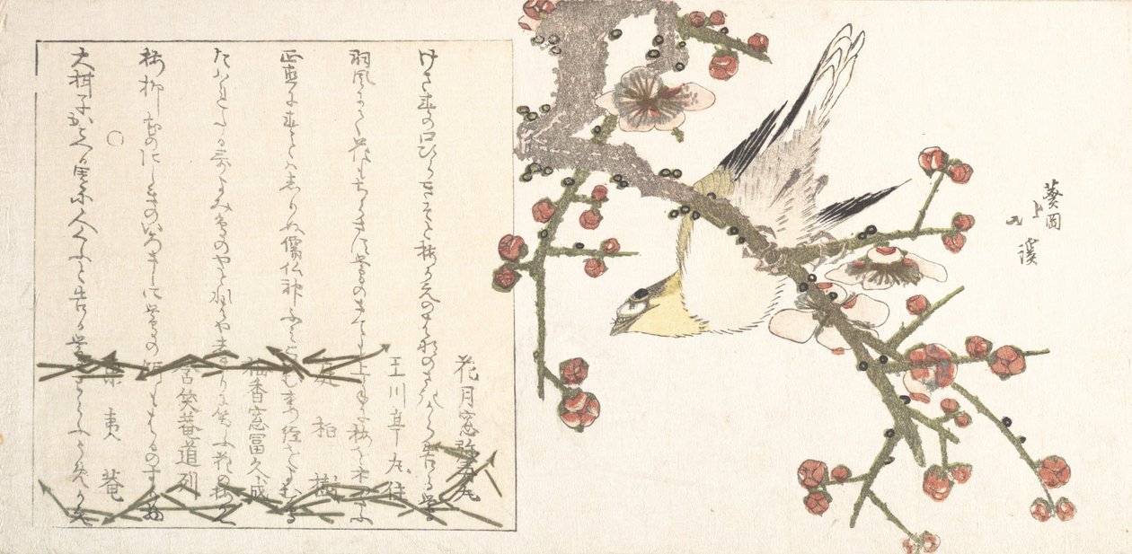 Bush Warbler op een pruimentak Ume ni uguisu door Totoya Hokkei