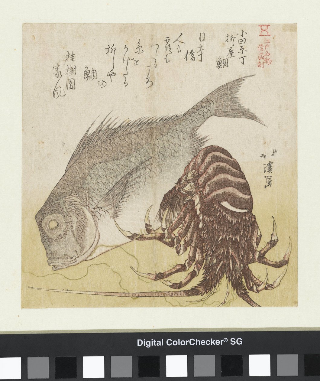De zeebaars van de Yanagiya in Odawarachô door Totoya Hokkei