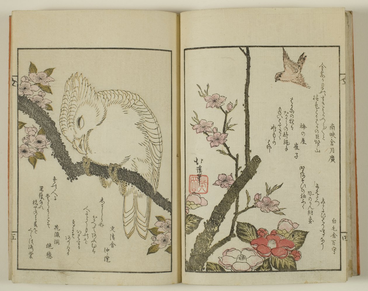 Kyoka hyakucho Kocho door Totoya Hokkei