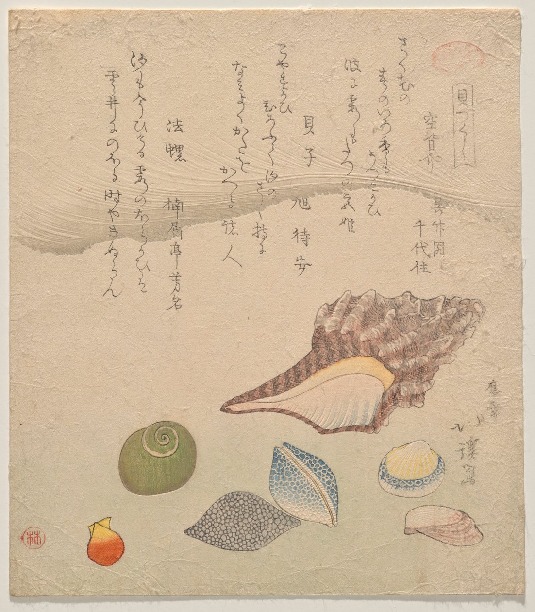 Zeven schelpen aan de rand van de zee, uit de serie Schelpen Compendium (Kaizukushi) door Totoya Hokkei