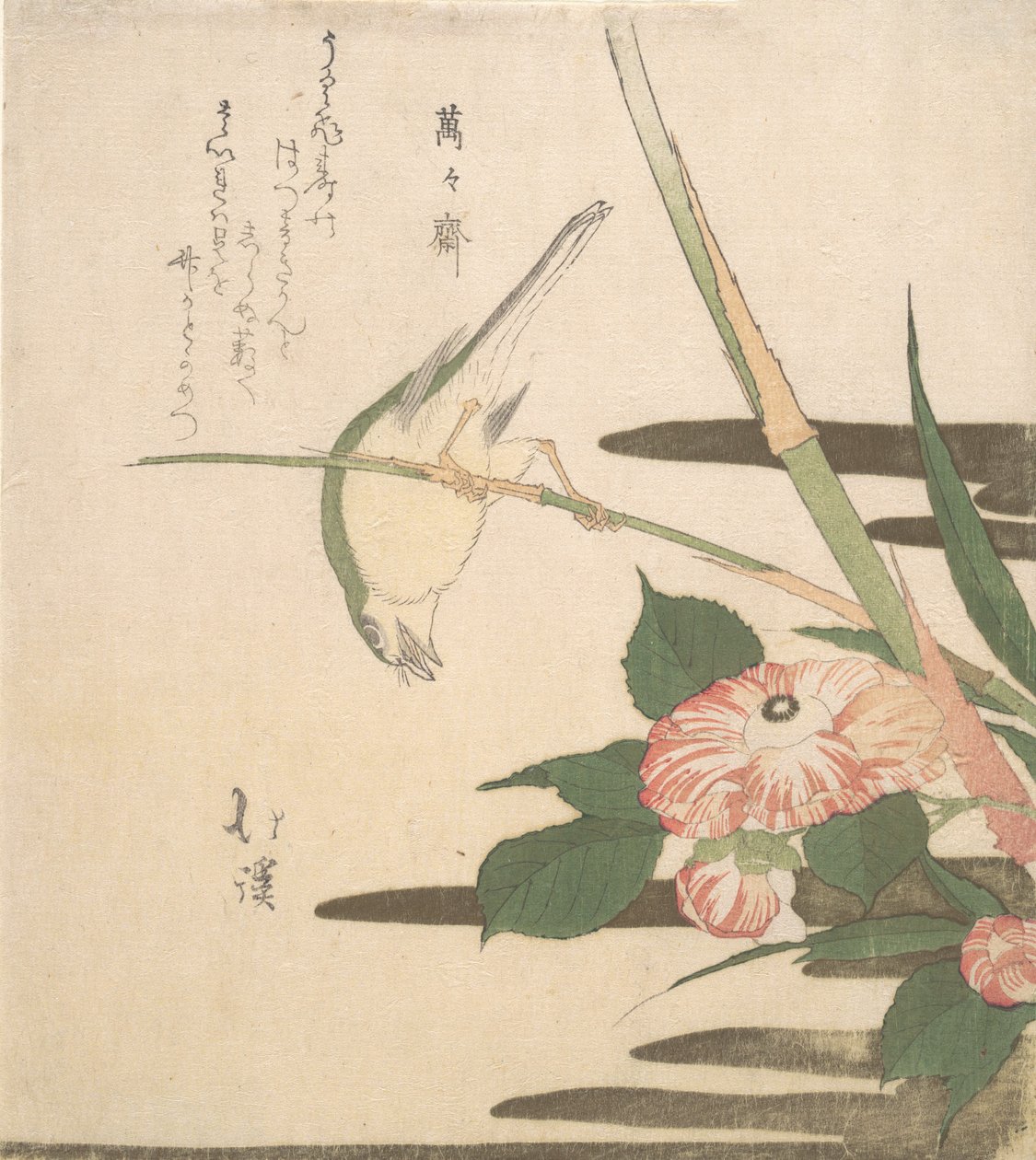 Zanger en Camellia, ca. 1815-20 door Totoya Hokkei