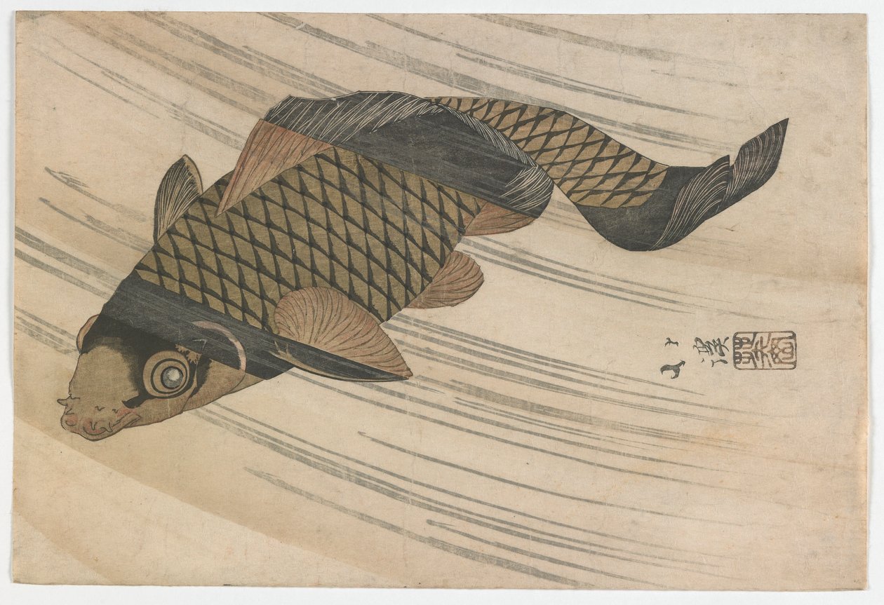 Karpers zwemmen stroomopwaarts, Edo-periode, midden 1820s door Toyota Hokkei