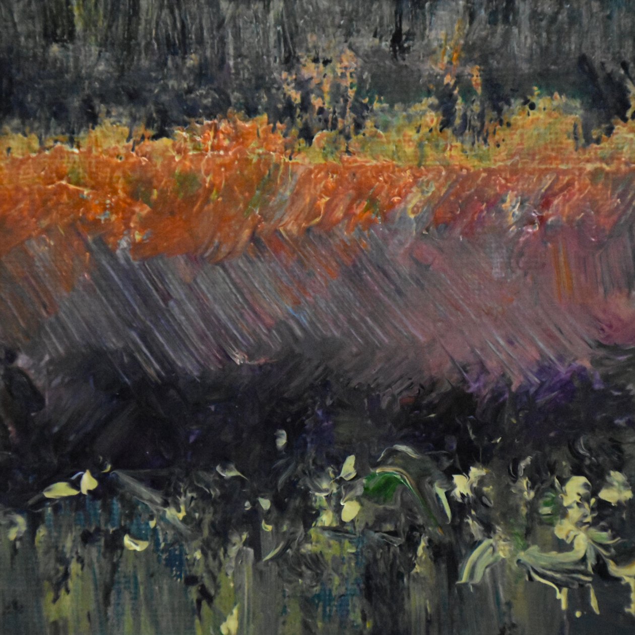 Nachtbloei 2, 2019 door Tracy Lambros